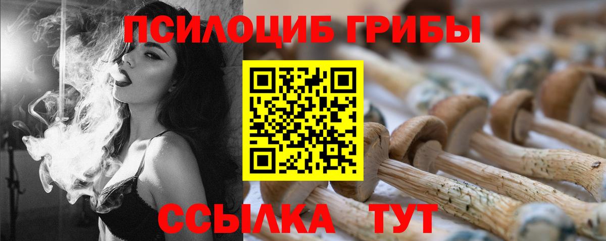 Галлюциногенные грибы ЛСД Тара