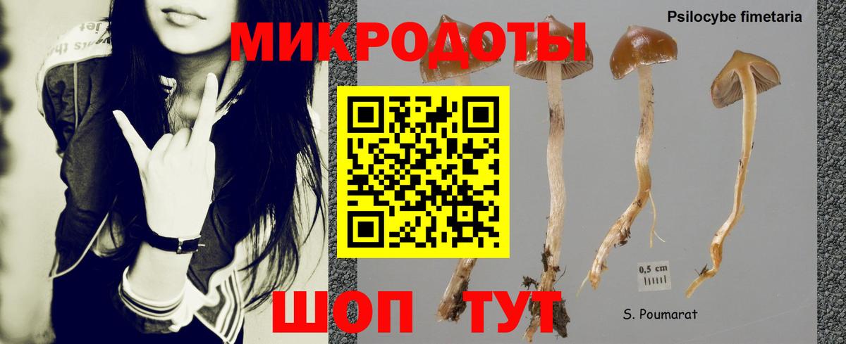 Псилоцибиновые грибы GOLDEN TEACHER  Галлюциногенные грибы MAGIC MUSHROOMS  Вход с VPN  Тара 