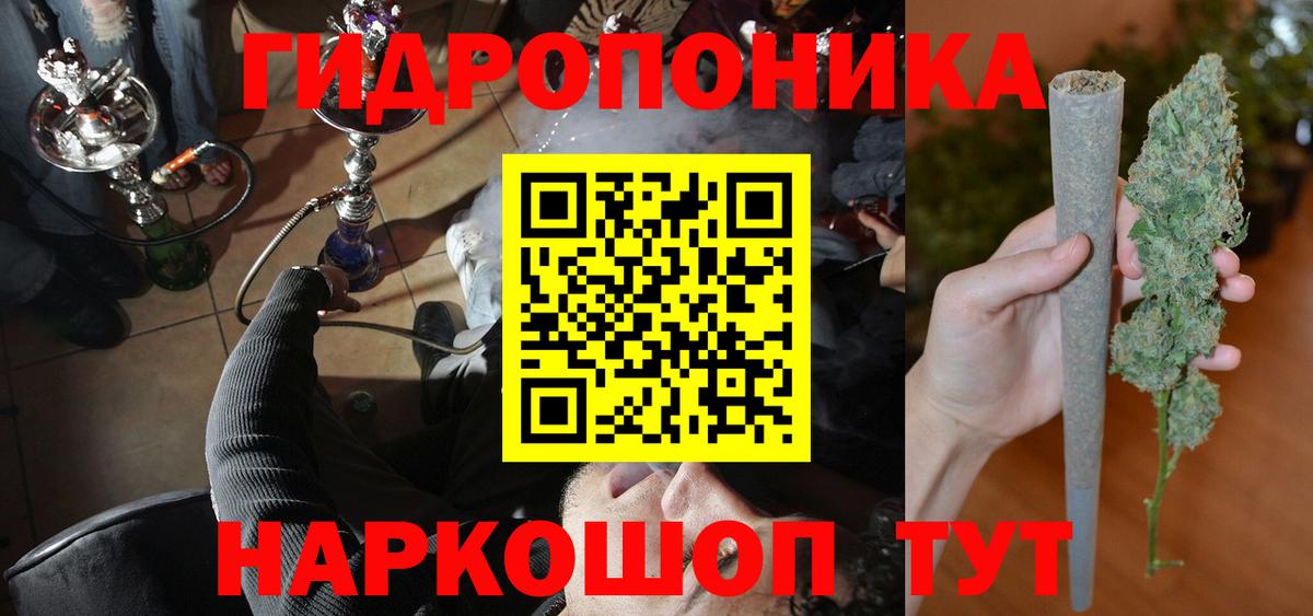 Бошки Шишки Ganja  Конопля Bruce Banner  Тара  Марихуана ГИДРОПОН  Вход с VPN 